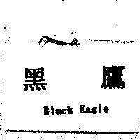 黑鷹 Black Eagle