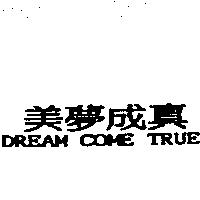 美夢成真 DREAM COME TRUE