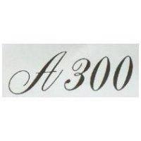 A300 設計圖