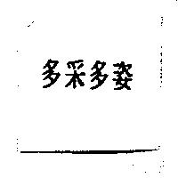 多采多姿