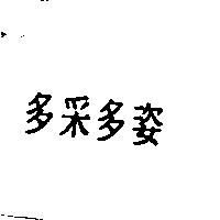 多采多姿