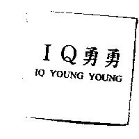 IQ 勇勇 IQ YOUNG YOUNG