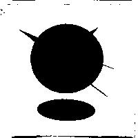 宏洋貿易有限公司標章