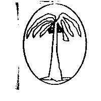 信實眼鏡股份有限公司標章