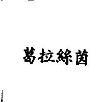 葛拉絲茵