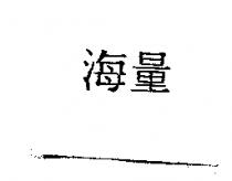 海量