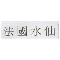 法國水仙