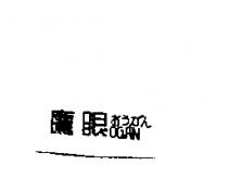 鷹眼 OGAN おうがん