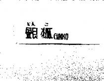 銀狐 GINKO ぎん こ
