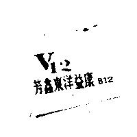 V12 芳鑫東洋益康 B12