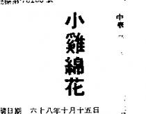 小雞綿花