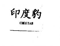印度豹 CHEETAH
