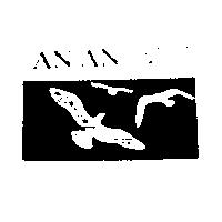AN AN 安安及圖