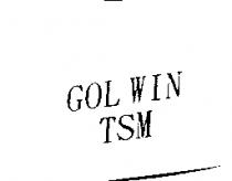 GOL WIN TSM