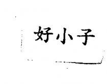 好小子