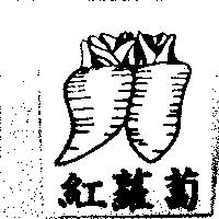 紅蘿蔔及圖