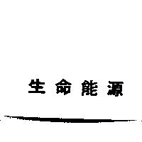 生命能源