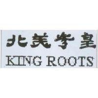 北美參皇 KING ROOTS