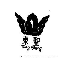 東聖 Tung Sheng 及圖