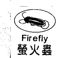 螢火蟲 Firefly 及圖