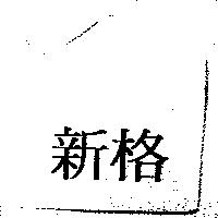 新格