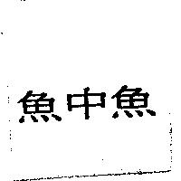 魚中魚