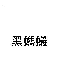 黑螞蟻