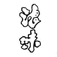 浪味