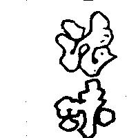 浪味