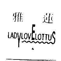 雅蓮 LADYLOVELOTTUS