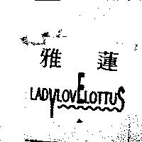 雅蓮 LADYLOVELOTTUS