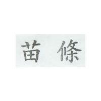 苗條