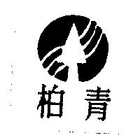 柏青及圖