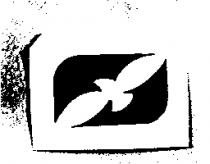 飛鳥設計圖