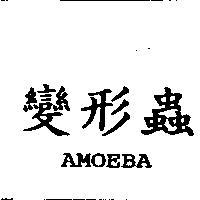 變形蟲 AMOEBA