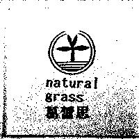 葛蕾思 natural grass 及圖