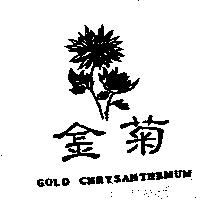 金菊 GOLD CHRYSANTHEMUM 及圖
