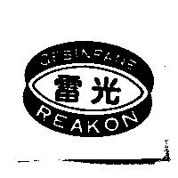 GESINFANE REAKON 雷光及圖