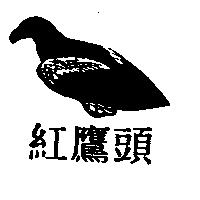 紅鷹頭及圖