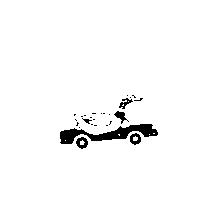 紅面鴨及汽車圖
