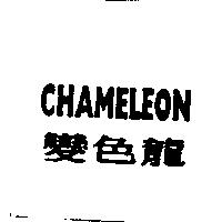 變色龍 CHAMELEON
