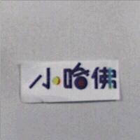 小哈佛