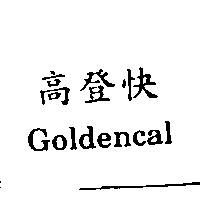 高登快 Goldencal