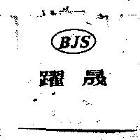 躍晟及 BJS 設計圖
