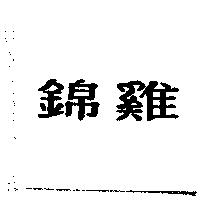 錦雞