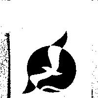 海鷗設計圖