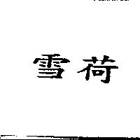 雪荷
