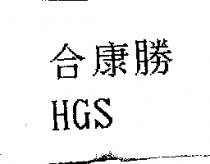合康勝 HGS