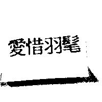 愛惜羽髦