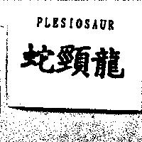 蛇頸龍 PLESIOSAUR